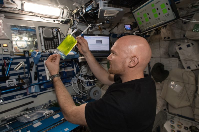 ESA astronaut Alexander Gerst works on space algae 