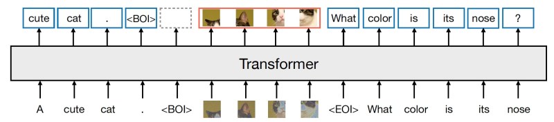 Meta Transfusion architecture