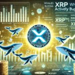 XRP Whales Loading Up – Data Reveals Buying Activity